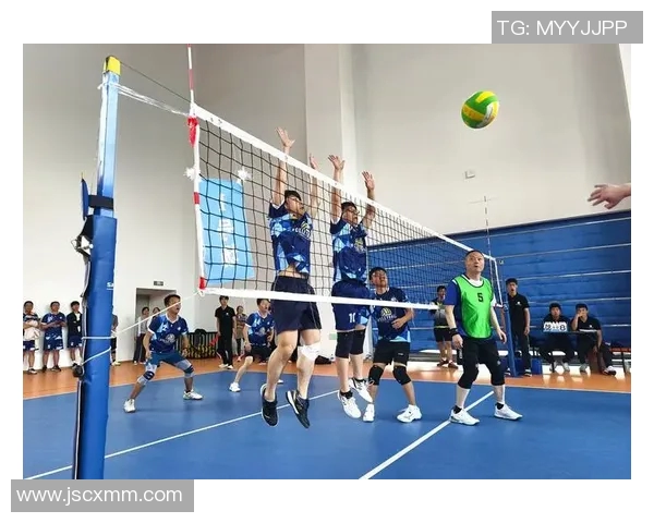 杭州排球队的耐力训练与比赛表现探讨聚焦排球的竞技精神与团队合作